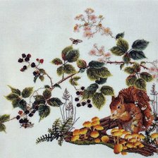 Схема вышивки «белочка»