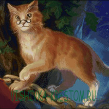 Схема вышивки «кот ученый»