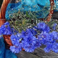 Схема вышивки «цветы»