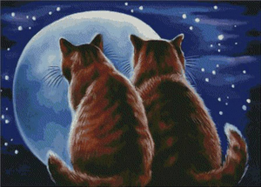 серия ,,животные" - животные.коты.кошки - предпросмотр