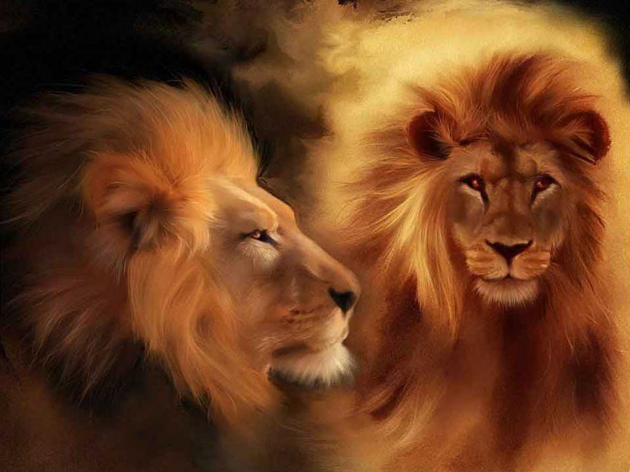 2528 - оригинал