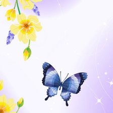 Схема вышивки «бабочка»