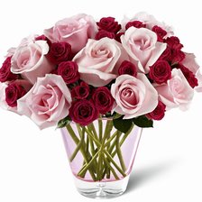 Схема вышивки «Розы»