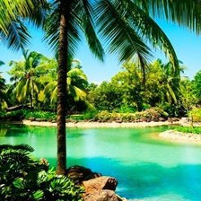 Схема вышивки «Рай»