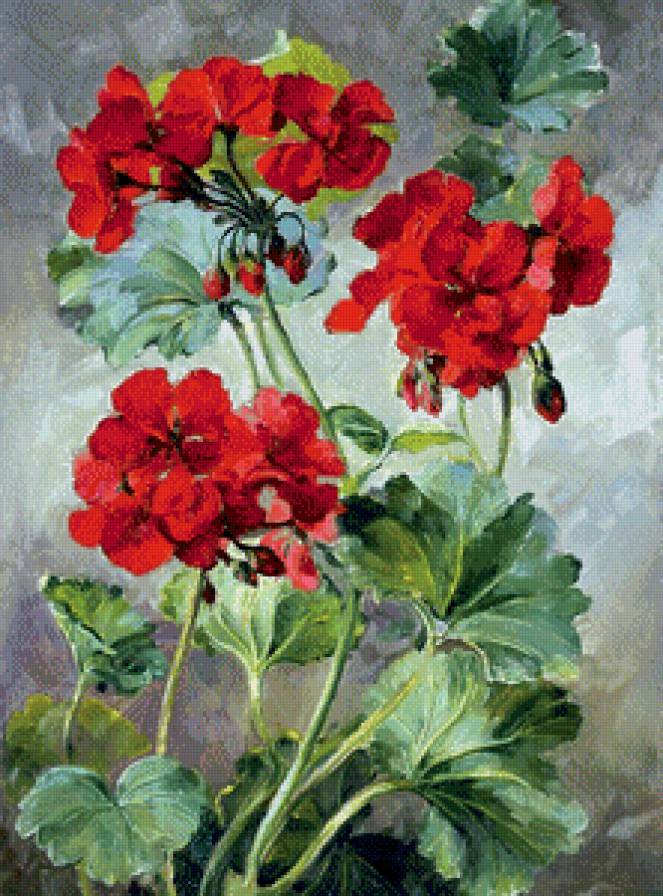 №693256 - цветы, живопись, герань - предпросмотр
