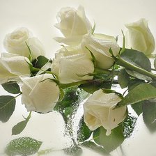 Схема вышивки «квіти»