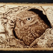 Схема вышивки «совушка»