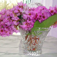 Схема вышивки «сирень»