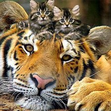 Схема вышивки «животные»