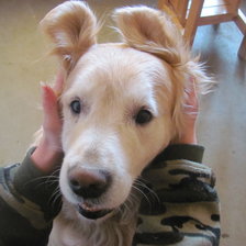 Схема вышивки «зайка моя))»