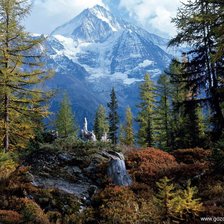 Схема вышивки «пейзаж»