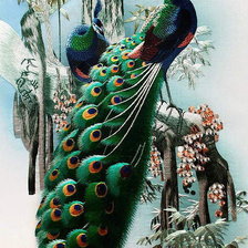 Схема вышивки «павлин»