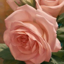 Схема вышивки «Розы»