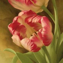 Схема вышивки «Тюльпаны»
