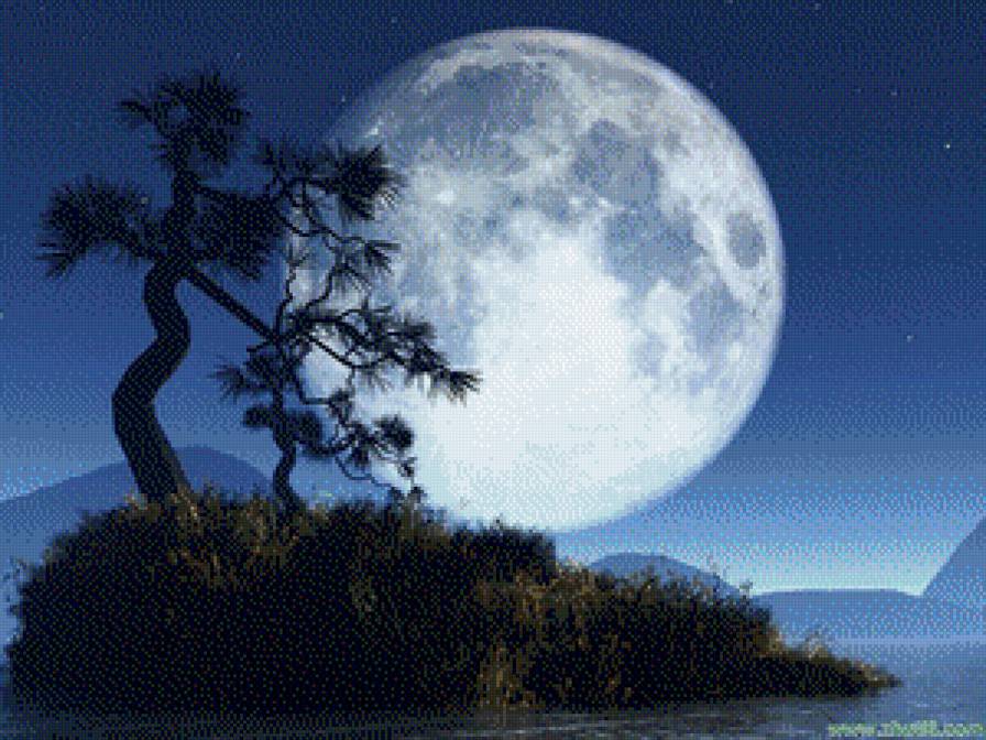 Ночь - ночь, пейзаж, китай, сосна, природа - предпросмотр