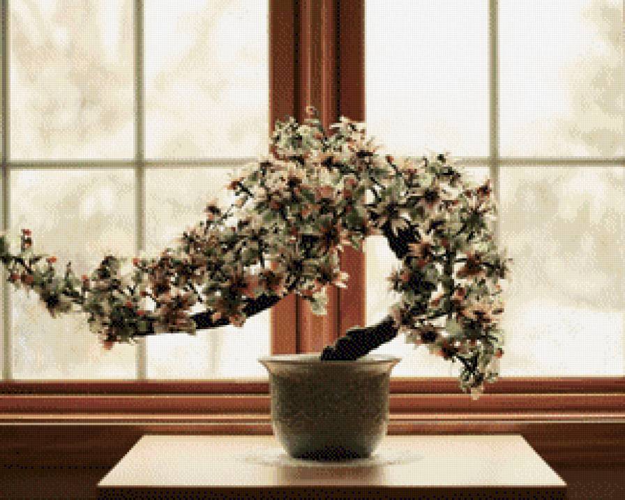 Бонсай - дерево, япония, бонсай - предпросмотр