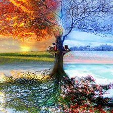 Четыре времени года