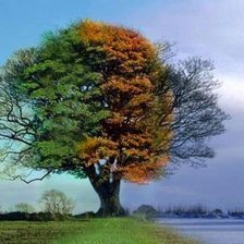 Времена года 2