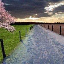 Времена года 4