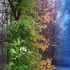 Схема вышивки «Времена года 5»