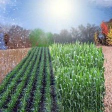 Схема вышивки «Времена года 6»