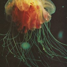 Схема вышивки «Медуза»