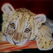 Схема вышивки «хищный котенок»