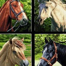 Схема вышивки «лошади 4 в 1»