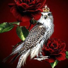 Схема вышивки «король птиц»