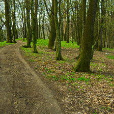 Схема вышивки «12»