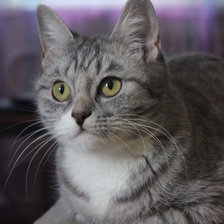 Схема вышивки «Бусинка»