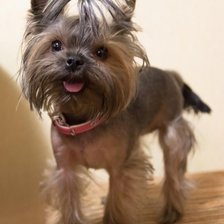 Схема вышивки «Йорик»