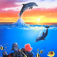 Схема вышивки «дельфины рыбы»