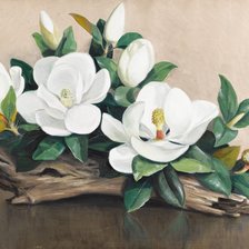 Схема вышивки «цветы магнолии»