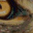 Предпросмотр схемы вышивки «Кошачий взгляд» (№694835)