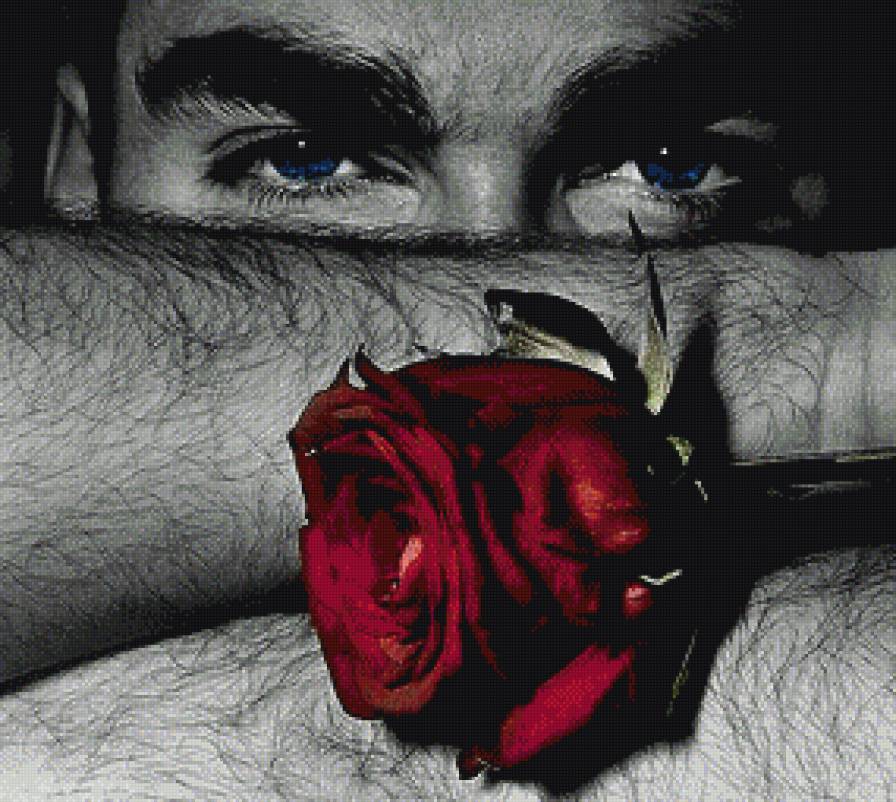 Красная роза:v 0.1. - предпросмотр