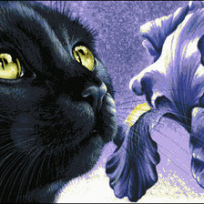 Схема вышивки «Кошка»