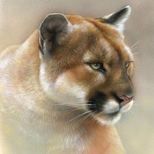 Схема вышивки «№695260»