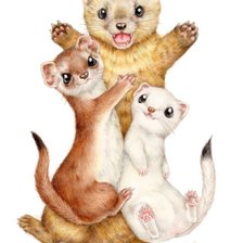 Схема вышивки «Серия "Хорьки"»