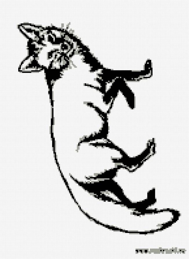 лиса - лиса, хитрость, коварство - предпросмотр