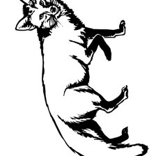 Схема вышивки «лиса»