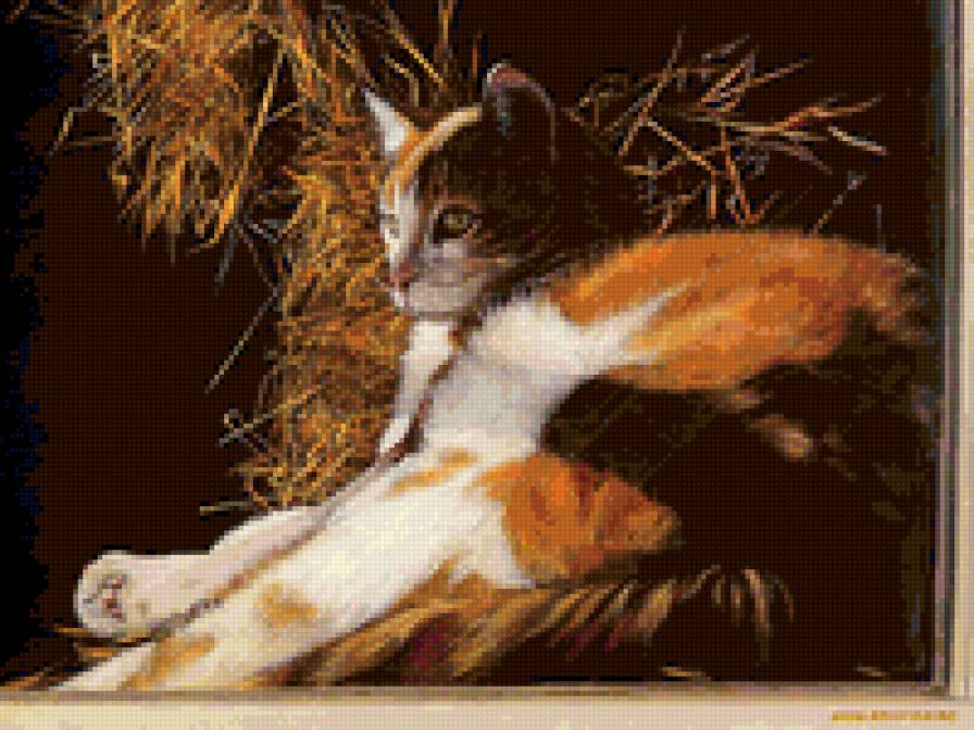 Кошечка - животные, кошки - предпросмотр