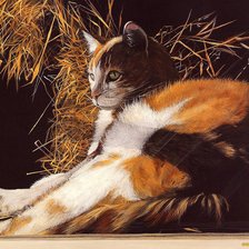 Схема вышивки «Кошечка»