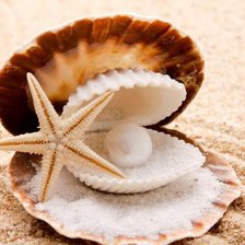 Схема вышивки «№695565»