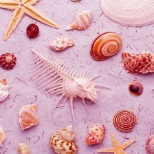 Схема вышивки «№695573»