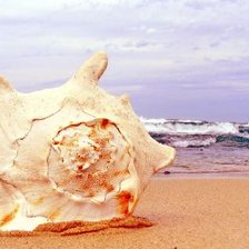 Схема вышивки «№695586»