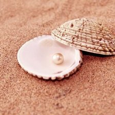 Схема вышивки «№695588»