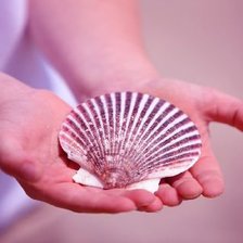 Схема вышивки «№695598»