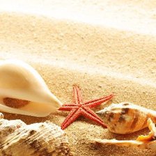 Схема вышивки «ракушка»