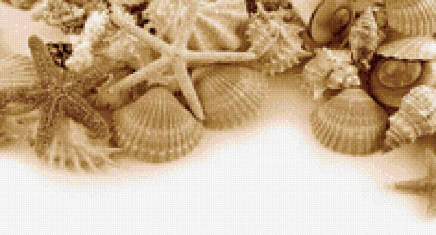 ракушка - звезда, жемчужина, песок, ракушка, морская звезда, море - предпросмотр